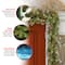 9ft. Pre-Lit Crestwood® Spruce Garland with Silver Bristle, Cones, Red Berries and Glitter with 50 Clear Lights